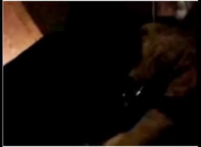 Video :Beastie gal got fucked by black dog in homemade dog sex
