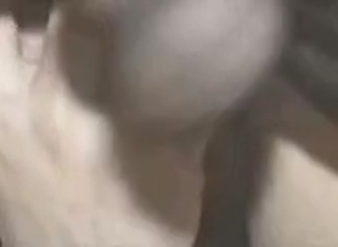 Video :Amateur gay beastiality lover having sex with his dog