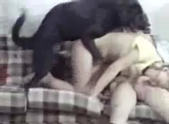 Video :Sexy slut sucking her boyfriend's dick while having dog sex