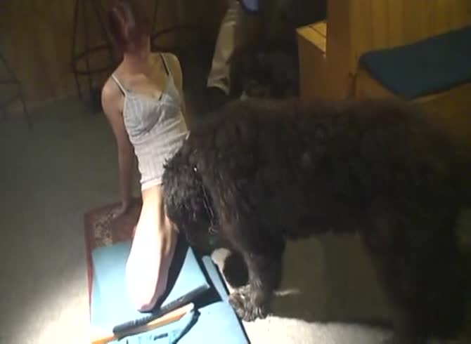 Video :Dog licking the pussy of sexy teen before smashing her hard