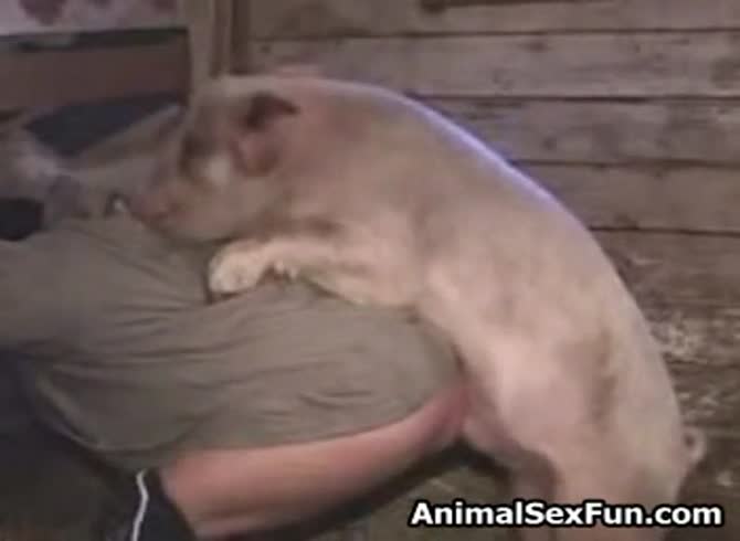 Video :Pig porn with naughty girl visits the farm to have sex with pig