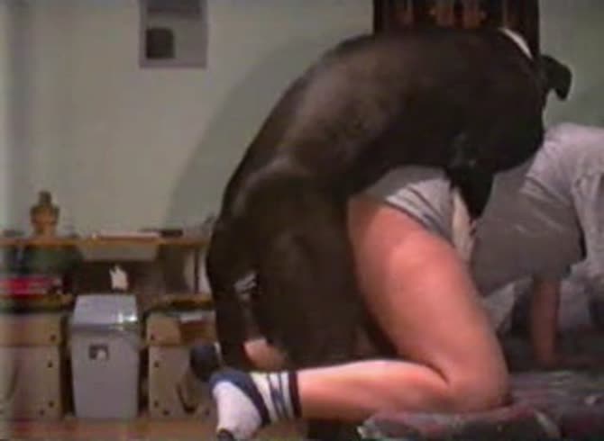 Video :Lovely girl having sex with dog in homemade beastiality sex