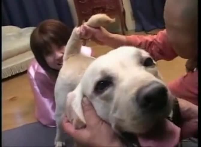 Video :Beautiful and kinky teen beastiality lover playing with dog dick