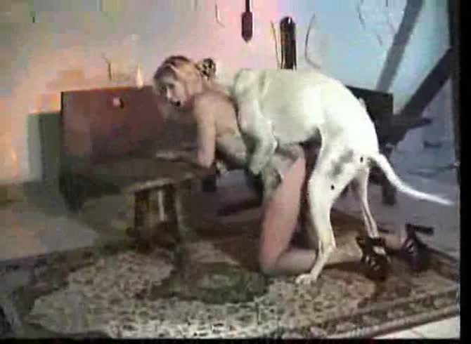 Video: Blonde girl got fucked and pounded in dog style by white dog