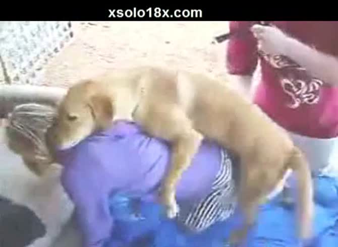 Video :Horny dog fuckin a curvy babe with big fat ass in animal sex porno