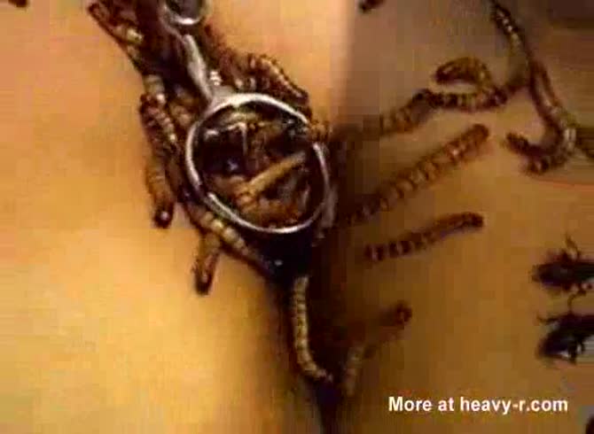 Video :Worms and other insects going inside and out of lady's pussy