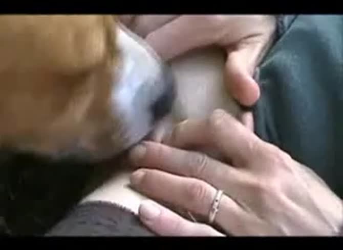 Video: Slut opening wide her shaved pussy for dog oral sex