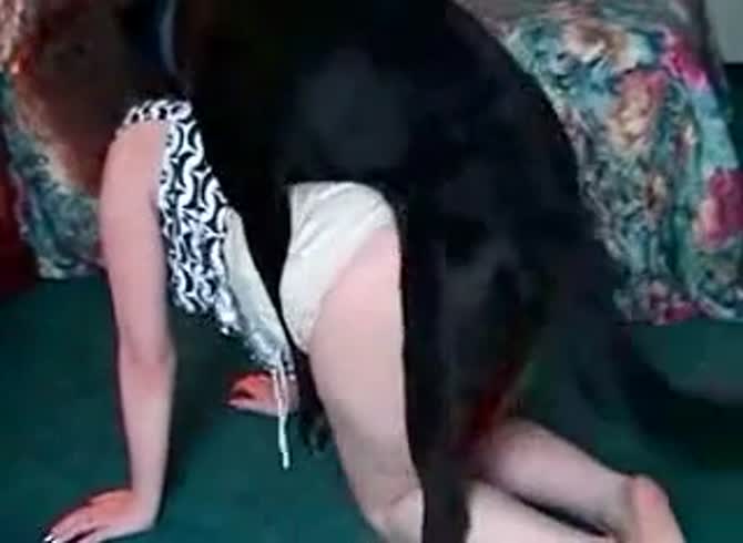 Video :Black dog fucking a matured slut in dogstyle position