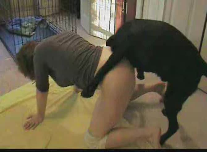 Video :Dog hard fucking a matured whore in hot animal sex