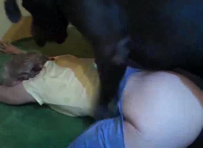Video :Sexy slut got her pinkish pussy fucked in dog porno