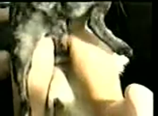Video :Kinky married couple having animal threesome sex with dog