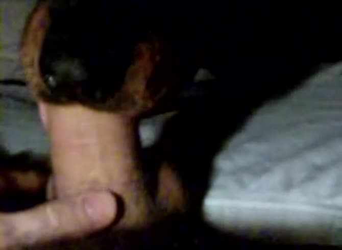 Video :Dog giving blowjob to a man's big hard cock