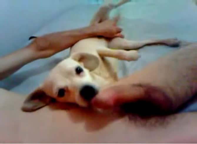 Video :Gay getting blowjob from dog and fucked the dog afterward