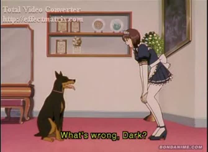 Video :Dog fucking a beautiful and sexy maid in animal sex video