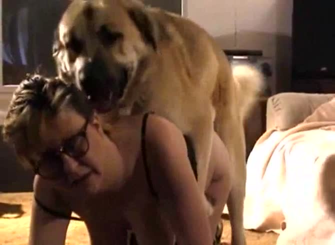 Video :[ Zooskool Video ] Busty granny enjoying dog cock in doggystyle position