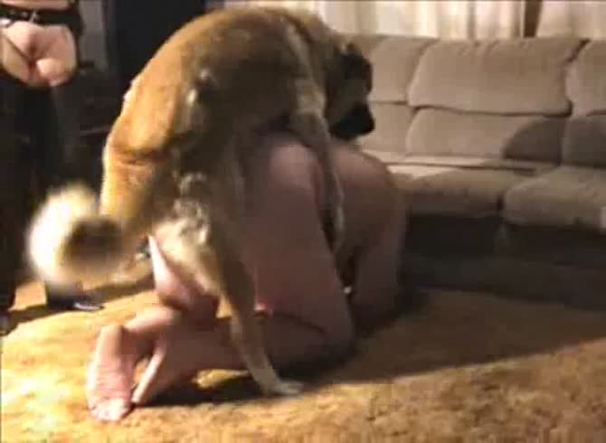 Video :Onlyzoo - Dog fucking a big ass slut in hot amateur porno