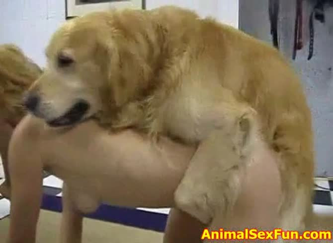 Video :Two ladies sharing a huge dog dick and have animal sex fun