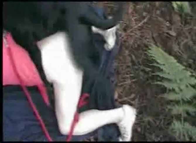Video :Outdoor dog sex with kinky whore getting backshots from dog