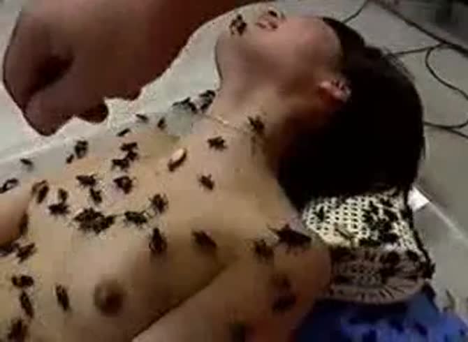 Video: Bugs and cockroaches all over the body of naked girl in insect porn