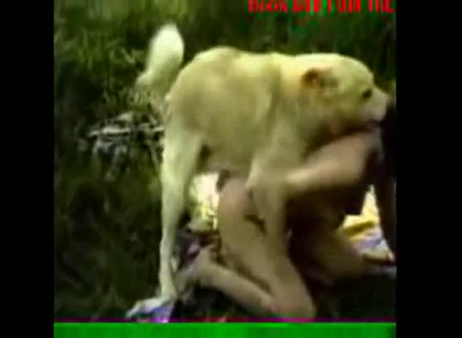 Video :Sexy lady getting fucked by dog in outdoor beastiality porn