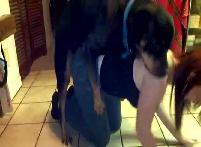 Video :Kinky teen bending over her ass to get smashed by dog xxx