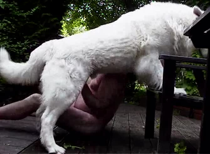 Video: Hot outdoor dog sex with lady and white dog