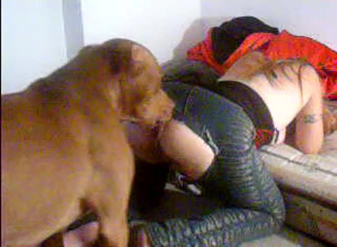 Video :Beautiful blonde babe enjoying dog oral sex before intense pounding