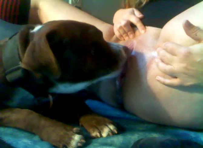 Video: Alyzoo - Dog eating the pussy of kinky lady in dog oral sex