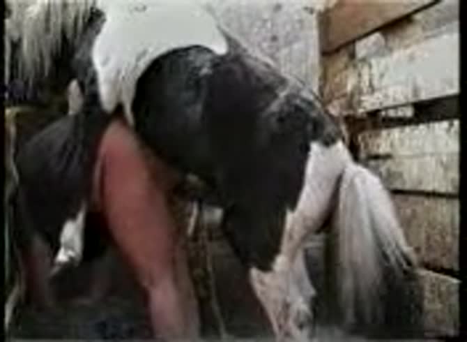 Video :Horse dick destroying the dirty ass of beastie gal