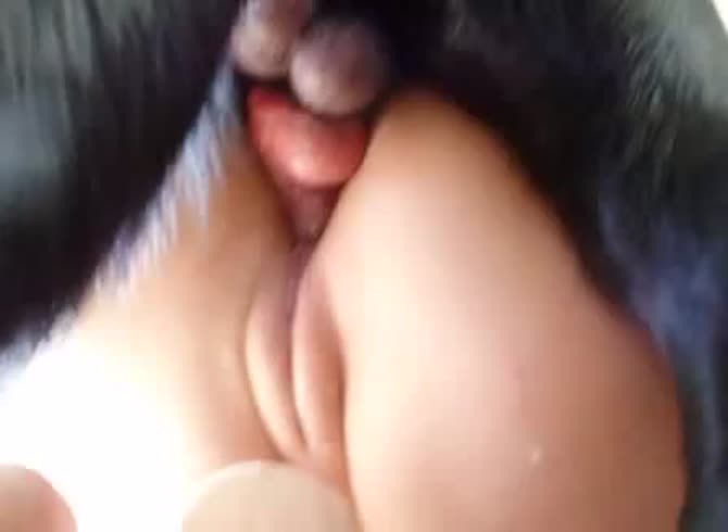 Video: Alyzoo - Fat and wet pussy receives animal creampie from dog