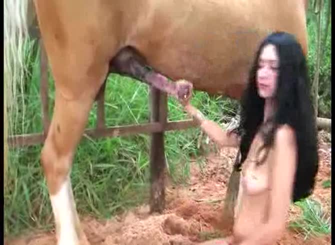 Video :Big stallion horse dick wrecking the ass of beautiful teen