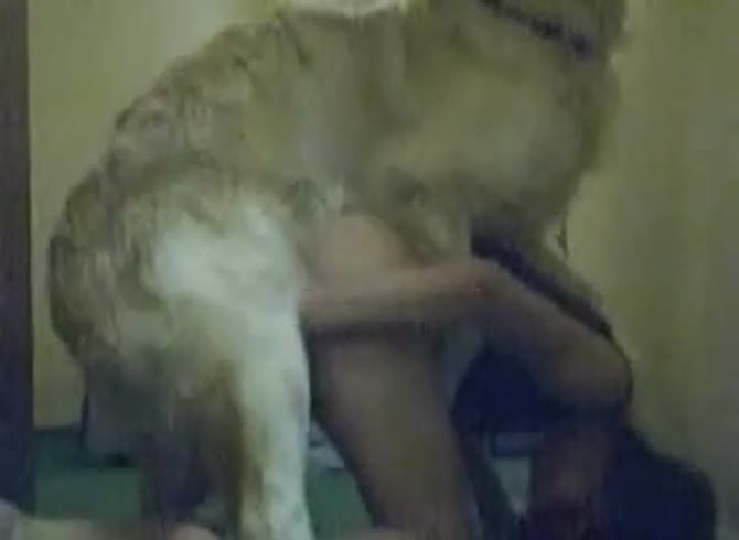 Video :Masked teen beastiality lover having sex with her pet dog