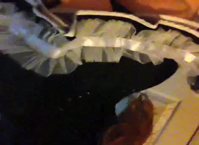 Video :Beautiful amateur teen girl showing off her tits