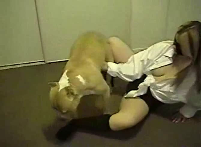 Video :Beautiful blonde with big tits getting fucked in the pussy by dog dick