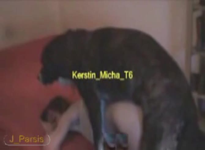Video: Big black dog with huge dick wrecking a girl's pussy