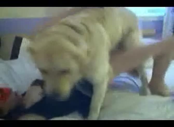 Video :Homemade beastiality sex with dog and girl pet owner