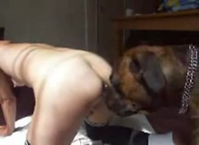 Video :Skinny teen getting her pussy and ass eaten in dog oral sex