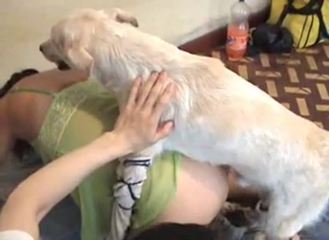 Video :Old matured lady getting banged from behind by white dog xxx