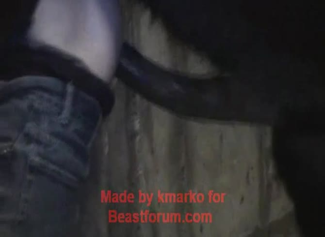 Video :Big horse dick wrecking a gay's butthole in horse anal sex