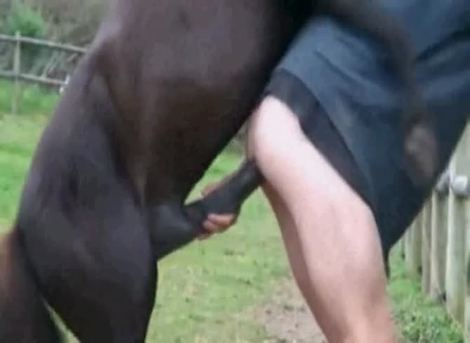 Video :Gay beastiality sex with horse in the farm
