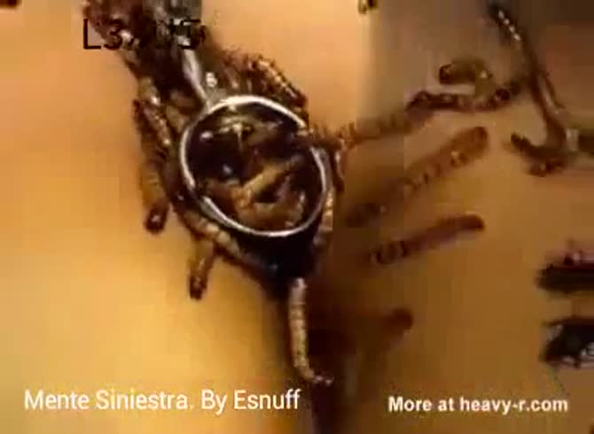 Video :Insect porn with slut getting her body full of insects