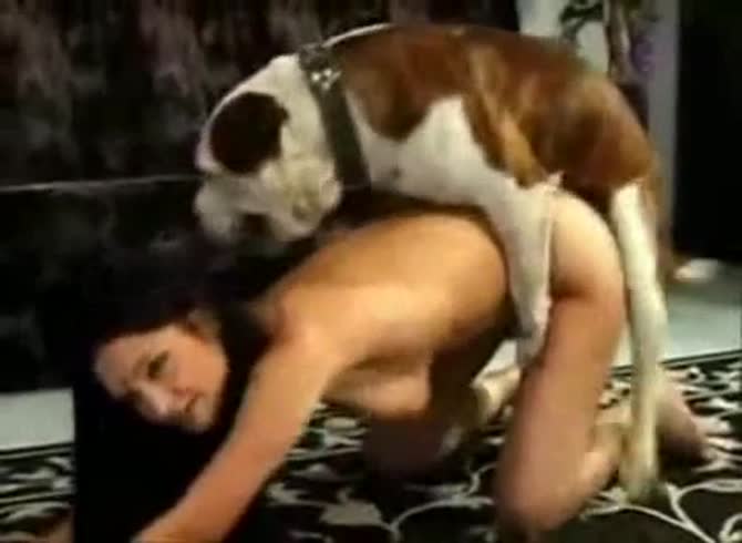 Video :Beastiality compilation of girls having sex with animals