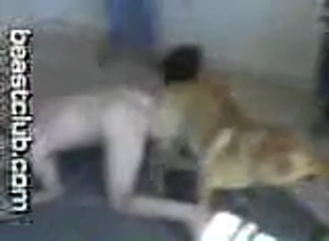 Video :Beastiality lover girl got banged by a dog