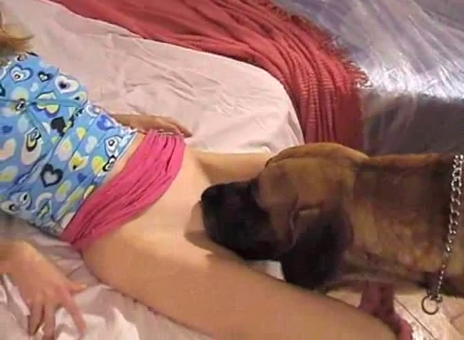 Video :Dog oral sex with young teen beastiality porno