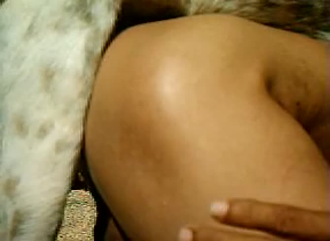 Video :Gay animal anal sex with his pet dog