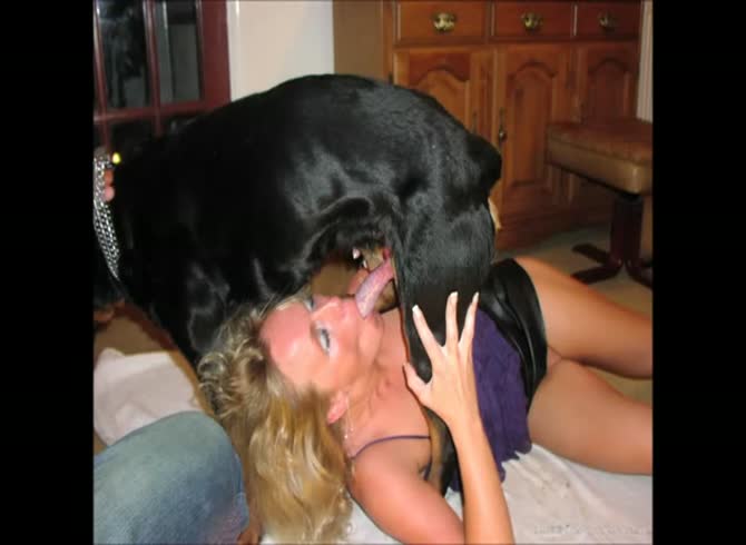 Video :Beastiality compilation video of lady having sex with animals
