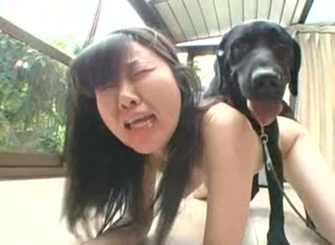 Video :Japanese girl enjoying dog dick from behind inside her pussy