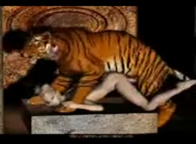 Video :Tiger fucking a blonde in animal porn tube