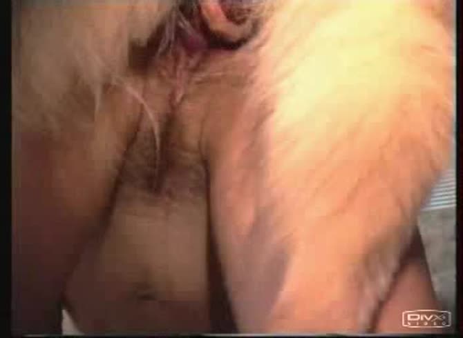 Video :Slut with hairy zoopussy enjoying dog sex