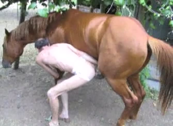 Video :Gay beastiality lover getting fucked by horse dick